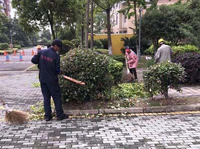 绿化整治忙 小区环境焕新样